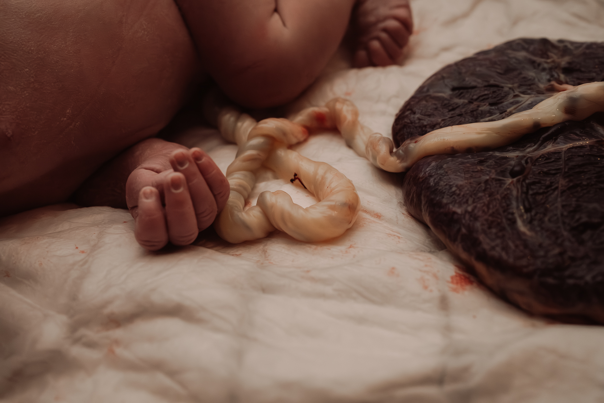 Geboortefotografie door Denise Boelhouwer
